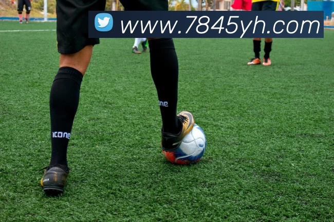 对战数据统计